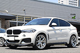 BMW X6 (F16)