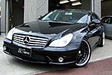 CLS500