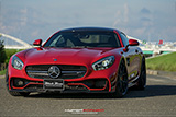 AMG GT:WALD BlackBison