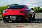 AMG GT:WALD BlackBison