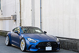 AMG GT 63 CoupC192)