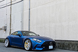 AMG GT 63 CoupC192)