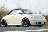 VW/New Beetle