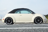 VW/New Beetle