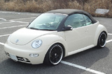 VW/New Beetle