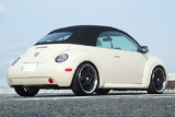 VW/New Beetle